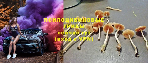 дживик Аркадак