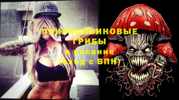 соль ск Арсеньев