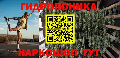гидра Славянск-на-Кубани