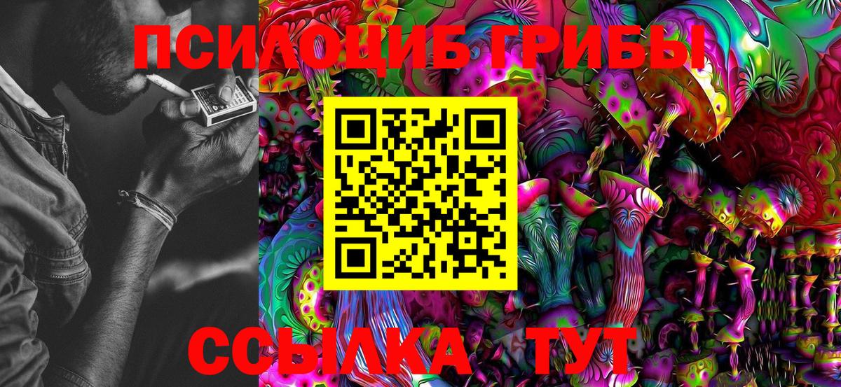 Галлюциногенные грибы Psilocybine cubensis Чернушка