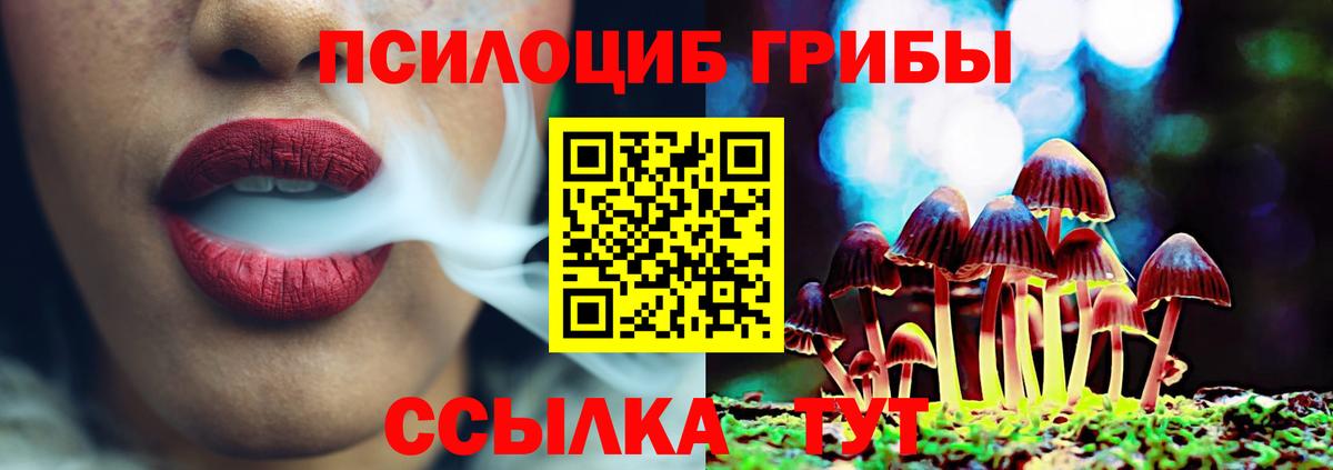 Чернушка  Псилоцибиновые грибы мицелий  Вход с VPN 