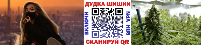 Бошки Шишки MAZAR  как найти   Чернушка 